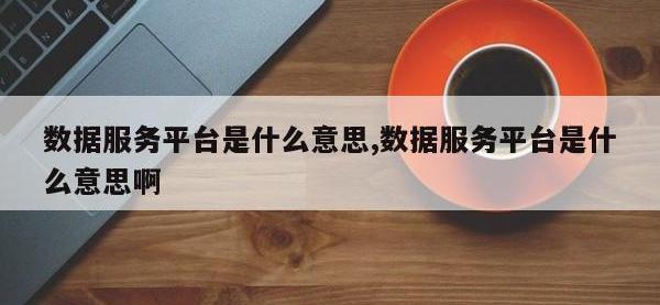 数据服务平台是什么意思,数据服务平台是什么意思啊