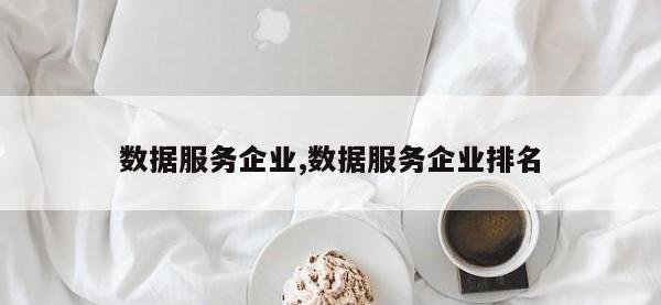 数据服务企业,数据服务企业排名