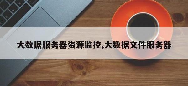 大数据服务器资源监控,大数据文件服务器