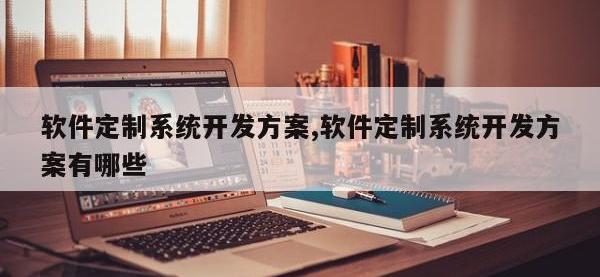软件定制系统开发方案,软件定制系统开发方案有哪些