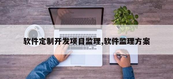 软件定制开发项目监理,软件监理方案