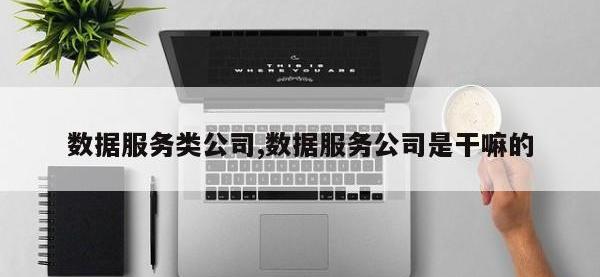 数据服务类公司,数据服务公司是干嘛的