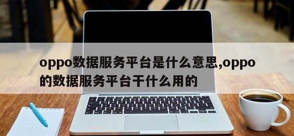 oppo数据服务平台是什么意思,oppo的数据服务平台干什么用的