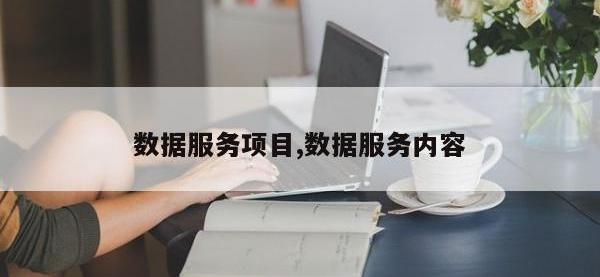 数据服务项目,数据服务内容