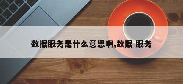 数据服务是什么意思啊,数据 服务