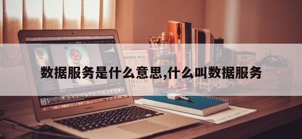 数据服务是什么意思,什么叫数据服务