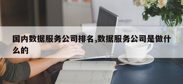 国内数据服务公司排名,数据服务公司是做什么的