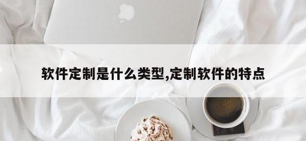软件定制是什么类型,定制软件的特点