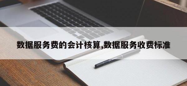 数据服务费的会计核算,数据服务收费标准