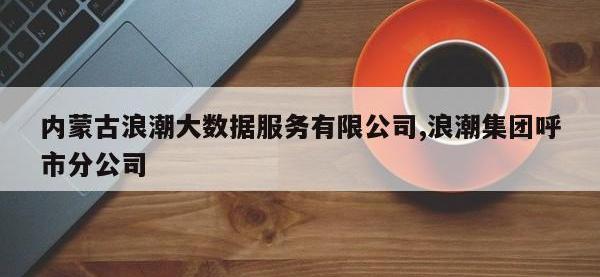 内蒙古浪潮大数据服务有限公司,浪潮集团呼市分公司