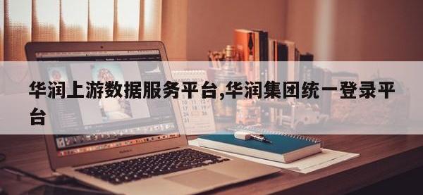 华润上游数据服务平台,华润集团统一登录平台