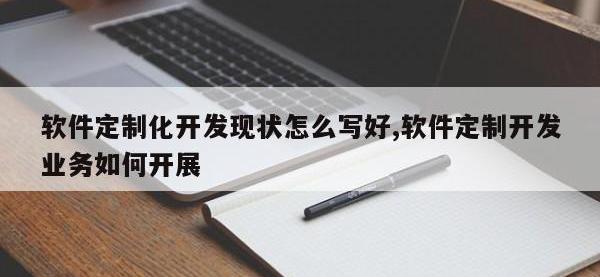 软件定制化开发现状怎么写好,软件定制开发业务如何开展