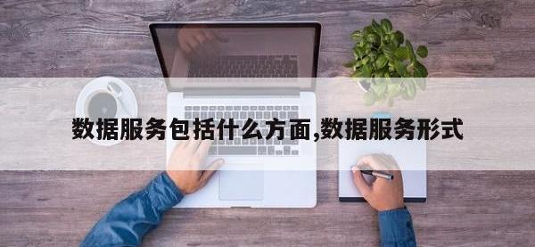 数据服务包括什么方面,数据服务形式