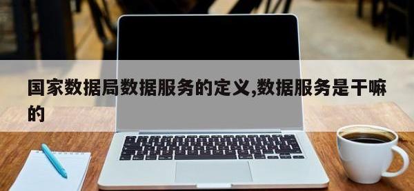 国家数据局数据服务的定义,数据服务是干嘛的
