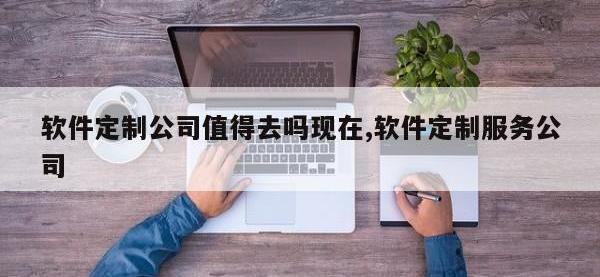 软件定制公司值得去吗现在,软件定制服务公司