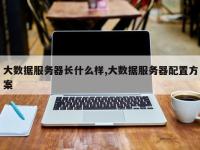 大数据服务器长什么样,大数据服务器配置方案