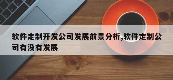 软件定制开发公司发展前景分析,软件定制公司有没有发展