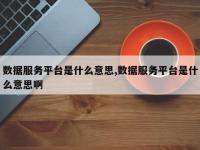 数据服务平台是什么意思,数据服务平台是什么意思啊
