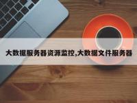 大数据服务器资源监控,大数据文件服务器