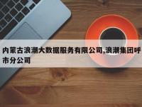 内蒙古浪潮大数据服务有限公司,浪潮集团呼市分公司