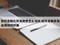 软件定制化开发现状怎么写好,软件定制开发业务如何开展
