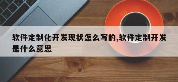 软件定制化开发现状怎么写的,软件定制开发是什么意思