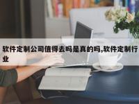 软件定制公司值得去吗是真的吗,软件定制行业