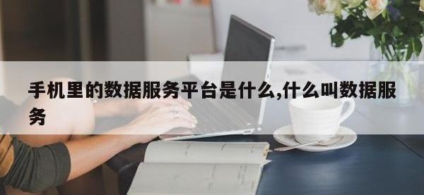 手机里的数据服务平台是什么,什么叫数据服务