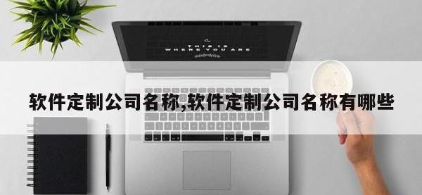 软件定制公司名称,软件定制公司名称有哪些