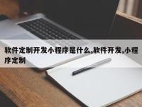 软件定制开发小程序是什么,软件开发,小程序定制