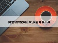 网管软件定制开发,网管开发工具