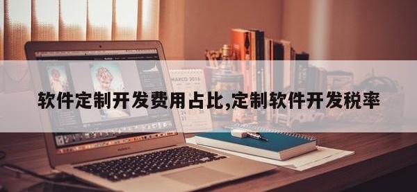 软件定制开发费用占比,定制软件开发税率