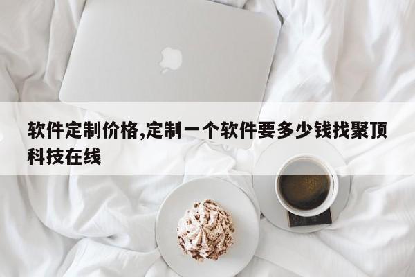 软件定制价格,定制一个软件要多少钱找聚顶科技在线