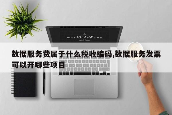数据服务费属于什么税收编码,数据服务发票可以开哪些项目