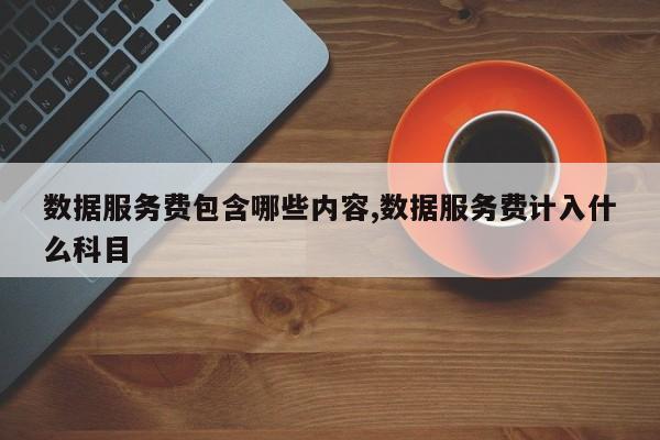 数据服务费包含哪些内容,数据服务费计入什么科目