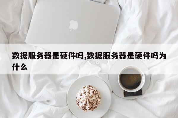 数据服务器是硬件吗,数据服务器是硬件吗为什么