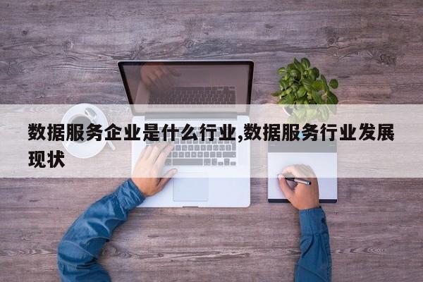 数据服务企业是什么行业,数据服务行业发展现状