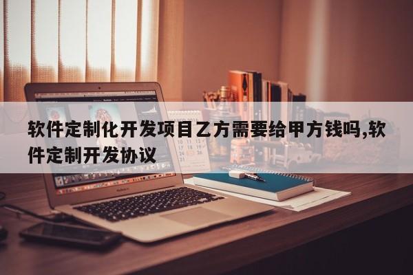 软件定制化开发项目乙方需要给甲方钱吗,软件定制开发协议