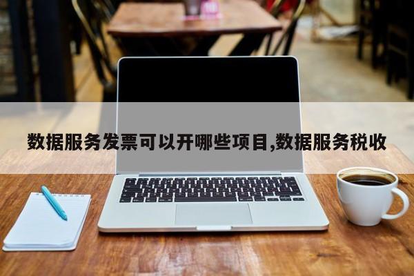 数据服务发票可以开哪些项目,数据服务税收