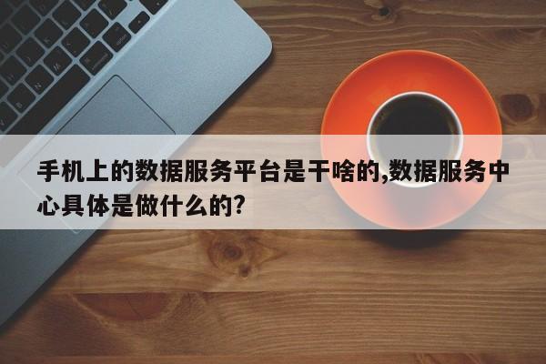 手机上的数据服务平台是干啥的,数据服务中心具体是做什么的?