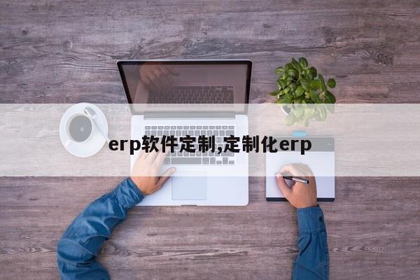 erp软件定制,定制化erp