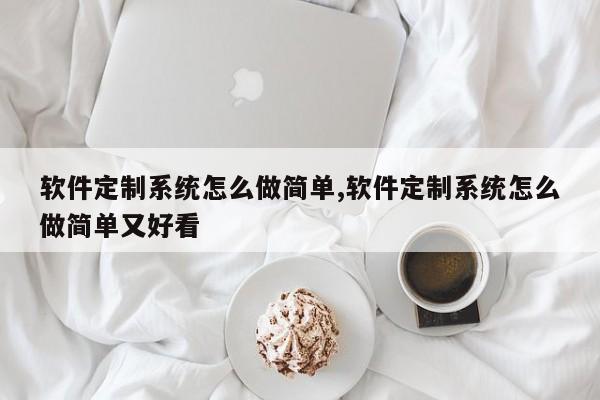 软件定制系统怎么做简单,软件定制系统怎么做简单又好看