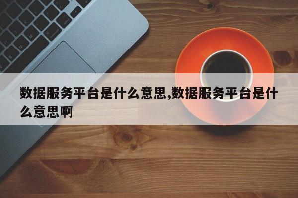 数据服务平台是什么意思,数据服务平台是什么意思啊