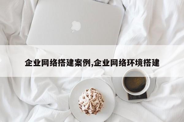 企业网络搭建案例,企业网络环境搭建