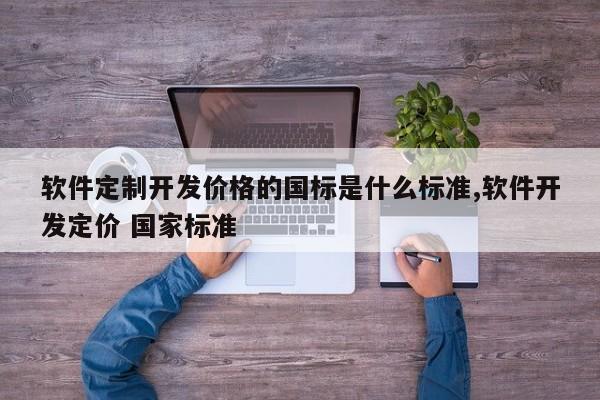 软件定制开发价格的国标是什么标准,软件开发定价 国家标准