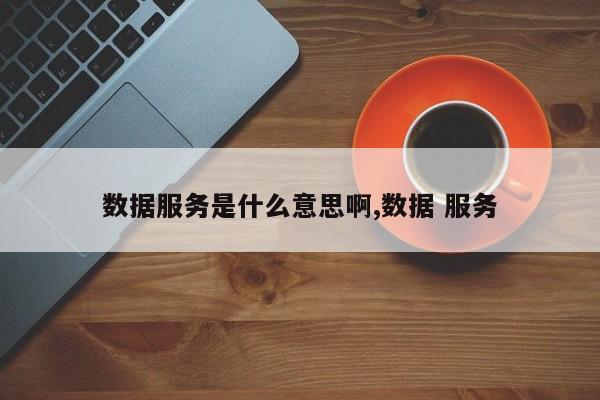数据服务是什么意思啊,数据 服务