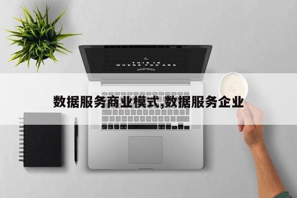 数据服务商业模式,数据服务企业