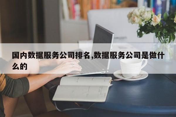 国内数据服务公司排名,数据服务公司是做什么的