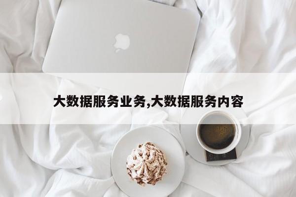 大数据服务业务,大数据服务内容