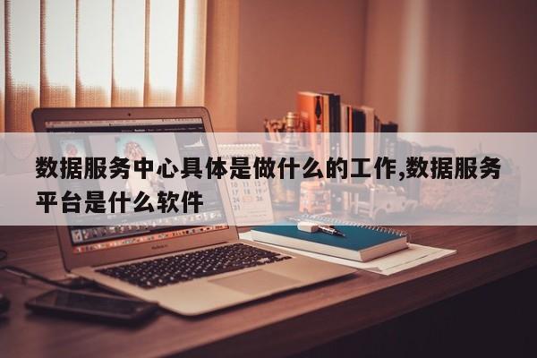 数据服务中心具体是做什么的工作,数据服务平台是什么软件